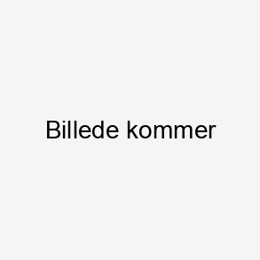 Bukser